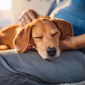 Humming Between The Walls