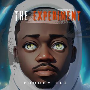 The Experiment