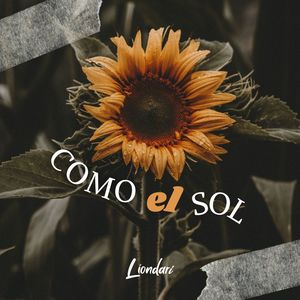 Como el Sol