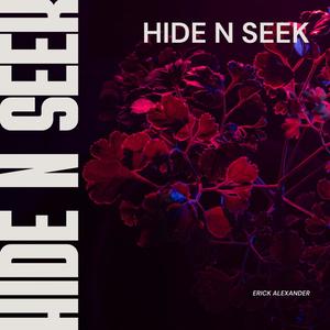 Hide n Seek (Explicit)