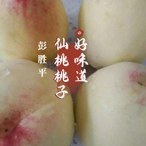 仙桃桃子好味道 (Demo)