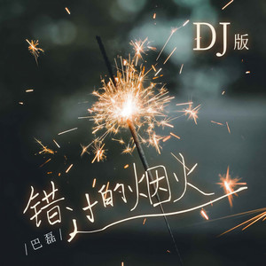 错过的烟火 (DJ版)