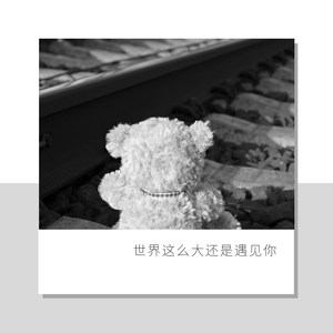 世界这么大还是遇见你 (Remix)