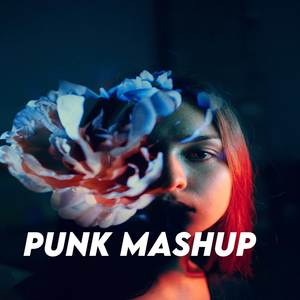 Punk Mashup