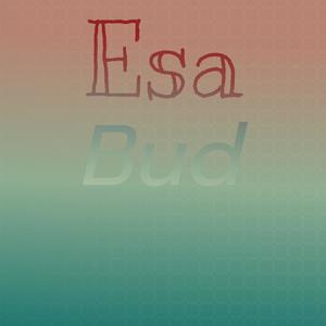 Esa Bud