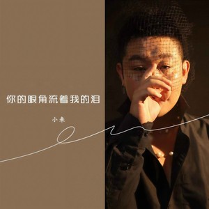 你的眼角流着我的泪