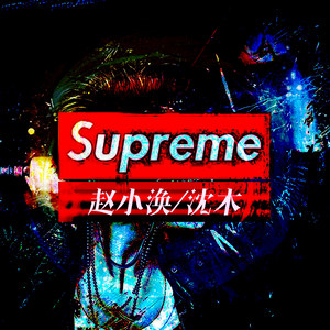 今日不蹦迪明日变垃圾 (DJ版)