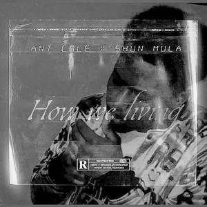 How we living (feat. Shun mula) [Explicit]