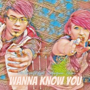 Wanna Know You (Explicit)