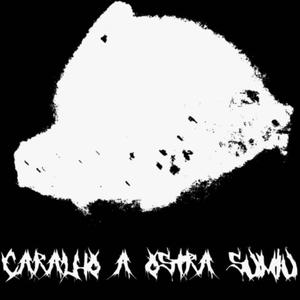CARALHO A OSTRA SUMIU (Explicit)
