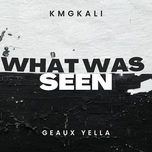 What was seen (feat. Geaux Yella) (Explicit)