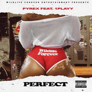 Perfect (feat. 1 Playy) [Explicit]