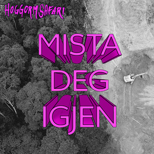 Mista Deg Igjen