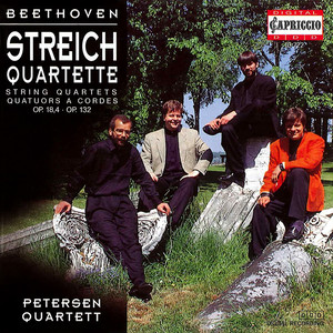 String Quartet No. 4 in C Minor, Op. 18, No. 4 - I. Allegro ma non tanto (第一乐章 不过分快的快板)