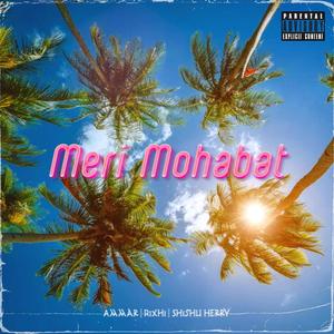 Meri Mohabat (feat. Ammar Zaib & Shishu Herry)