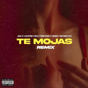 Te Mojas (feat. J. Méndez, Var G, Young Kenny, Miltonxr, Valentino‏‏‎‎ & R-8) [Remix] [Explicit]