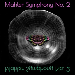 Symphony No. 2 in C Minor 
