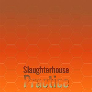 Slaughterhouse Practice