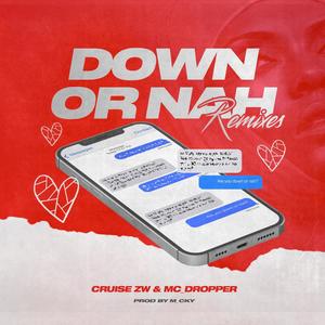 Down Or Nah(feat. Cruise Zw & Mc_Dropper) (Mc_Dropper Remix|Explicit)
