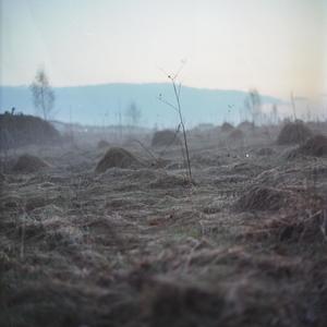 road to nowhere (feat. leonoel & Oscar Jakonen)