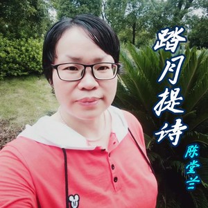踏月题诗