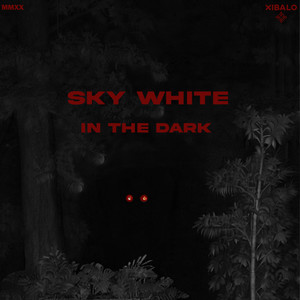 In the Dark W/ Daniel Sax