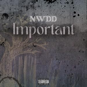 Important (Explicit)