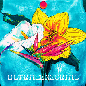 Ultrasensorial