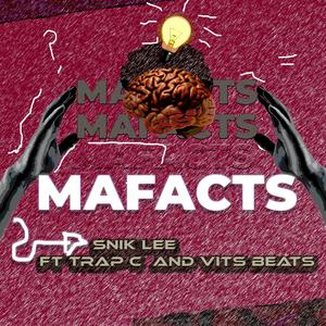 Mafacts (feat. Trap c & Vits beats)