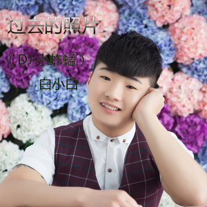 过去的照片 (DJ小蚱蜢)