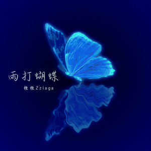 雨打蝴蝶