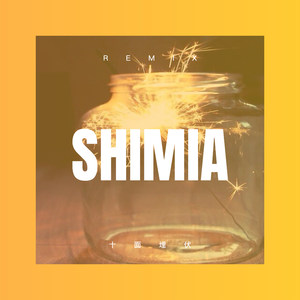 山谷里的思念 (DJ版)