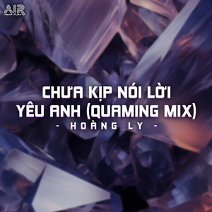 Chưa Kịp Nói Lời Yêu Anh (QuaMing Mix)