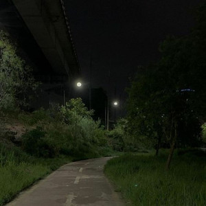 la leçon particulière