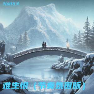 海南DJ茂 - 难生恨 (节奏氛围版)