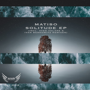 Solitude (Ivan Berkowitz Remix)
