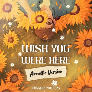 Wish You Were Here (Acoustic)