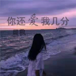 你还爱我几分 (伴奏)