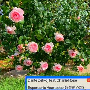 Supersonic Heartbeat (超音速心跳) (feat. Charlie Rose)
