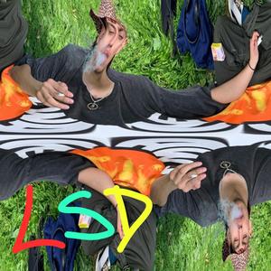 LSD (Explicit)