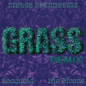 GRASS REMIX (feat. Secquoia & Irie Givens) [Explicit]