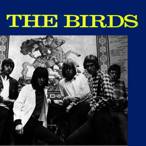 The Birds