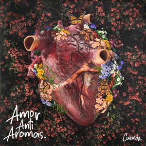 Amor Anti Aromas