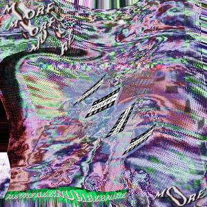 R.I.P. Wii Shop (feat. Taylor!, Ototoxic & DJ Enpitsu) (Explicit)