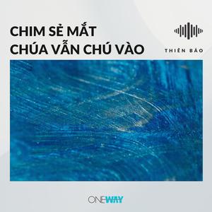 Chim Sẻ Mắt Chúa Vẫn Chú Vào