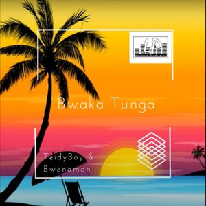 Bwaka Tunga by lowland (Explicit)