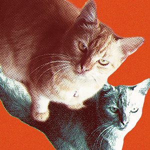 PrimeAbadi (Explicit)