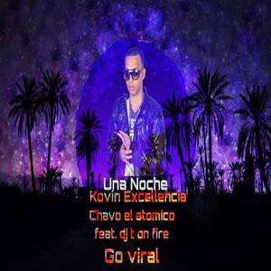 Una Noche (feat. Go virals & DJ t on fire)