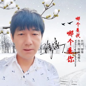 哪个是我哪个是你