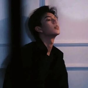 你问我为什么顽固而专一-AAA建材张总